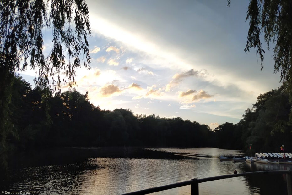 Alster im Sonnenschein